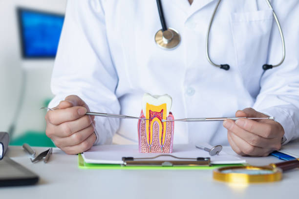 Best Broken or Cracked Tooth Emergency Dentist in Rusk, TX